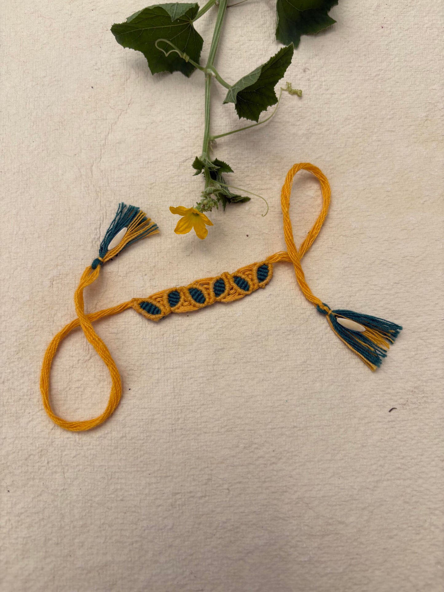 Rakhi That Grows 🌱 — 2 Jars of Honey + Plantable Rakhi Bundle