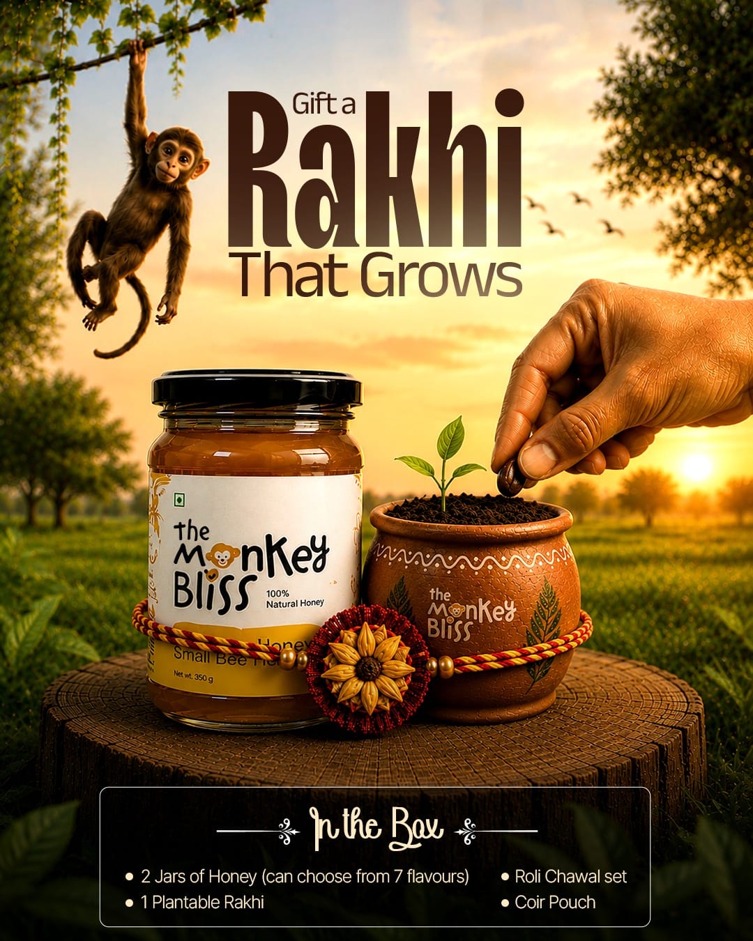 Rakhi That Grows 🌱 — 2 Jars of Honey + Plantable Rakhi Bundle