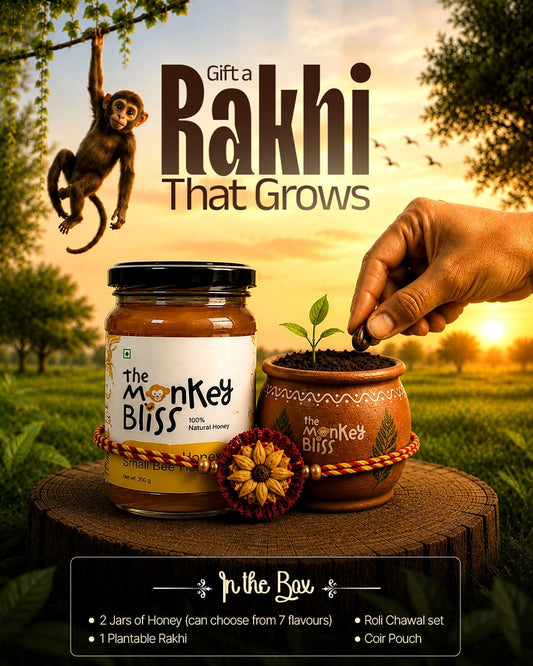 Rakhi That Grows 🌱 — 2 Jars of Honey + Plantable Rakhi Bundle